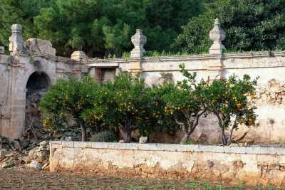 Affacciati sul parcheggio di Polignano i resti di una masseria seicentesca: Starsa Nuova